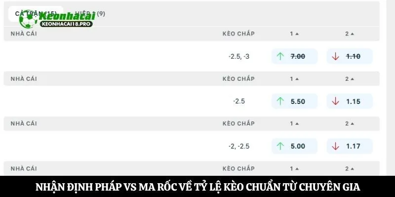 Nhận định Pháp vs Ma rốc về tỷ lệ kèo chuẩn từ chuyên gia